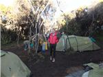 Утро в лагере Mweka Hut