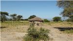 Хижина масаи