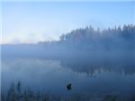 Туман над озером