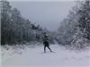 Пейзаж с одиноким лыжником(Илья Гусев)