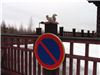 Может для нее