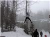 Наташа Лукьянец